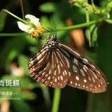 20160821 026