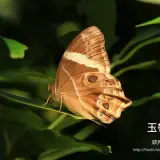 20160821 024