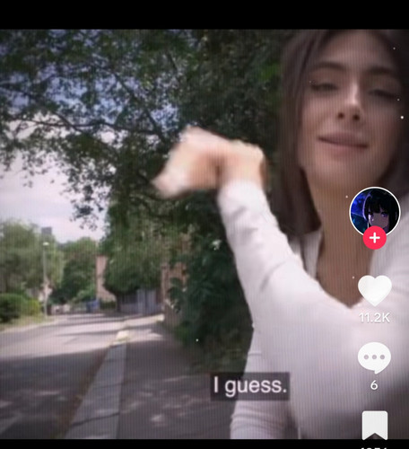 Screenshot 20230627 125913 TikTok