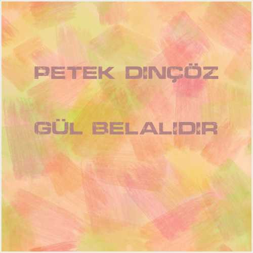 دانلود آهنگ جدید Petek Dinçöz به نام Gül Belalıdır