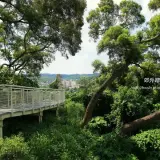 20170711 1 026