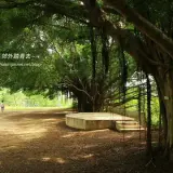 20170711 1 012