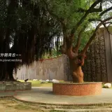 20170711 1 056