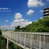20170711 1 033