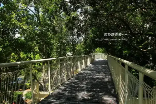 20170711 1 031