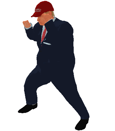 trumpfight.gif