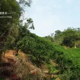 20170409 142
