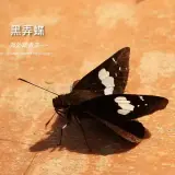 20170409 095