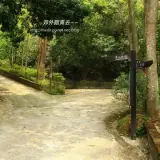 20170409 194