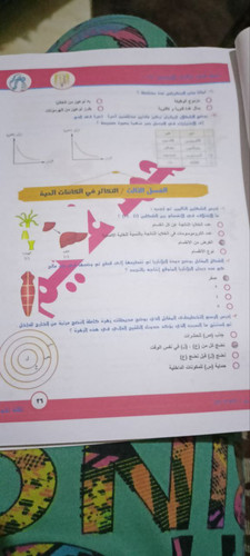 photo 5870531956859584079 y.jpg