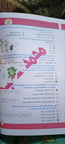 photo 5870531956859584077 y.jpg