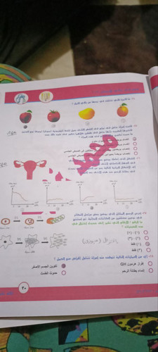 photo 5870531956859584074 y.jpg