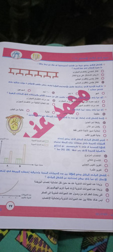 photo 5870531956859584075 y.jpg