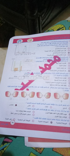 photo 5870531956859584073 y.jpg