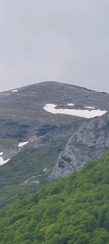 FB IMG 1689187041064.jpg