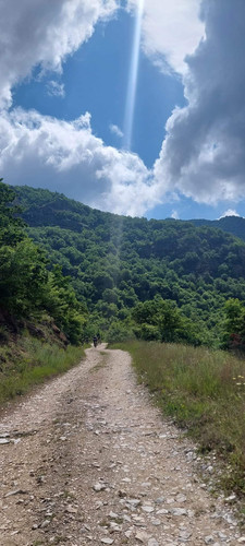 FB IMG 1689187067872.jpg