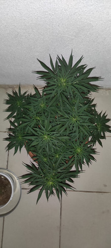 IMG 20230713 000055.jpg