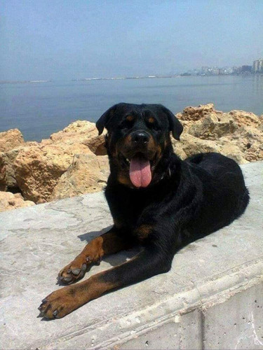 received 232560647947638.jpg