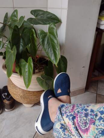 16847865807c18679650f4fa237a7f62b50a0cf96a thumbnail x460.jpg