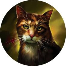 171D10EB FF1E 4551 8058 9647EE29F1CC.jpg