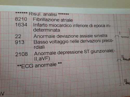 2620dfa8 8ce3 4adf a1d3 e9adfa908ee3.jpg