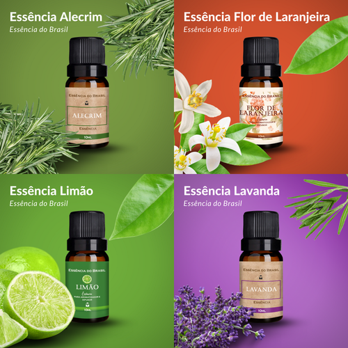 Kit 4 Essências Aromatizador Difusor 10ml Sonho Mediterrâneo (2).png