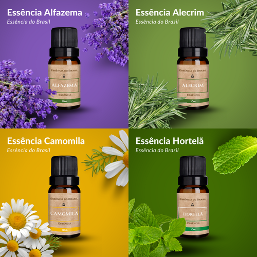 Kit 4 Essências Aromatizador Difusor 10ml Encantos do Campo (2).png