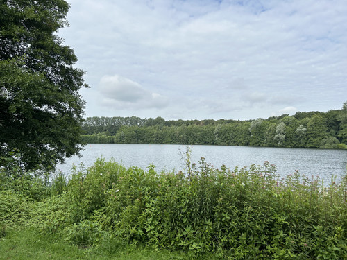 21C3D611 7AD8 403F 99EF 9078B2EB019B.jpg