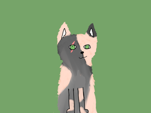 IMG 2491.png