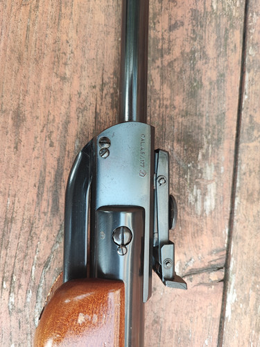 IMG 20230706 195002.jpg