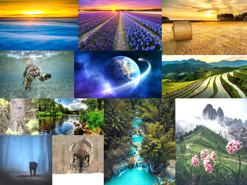 ' Glorified is The Mighty-Creator '.jpg