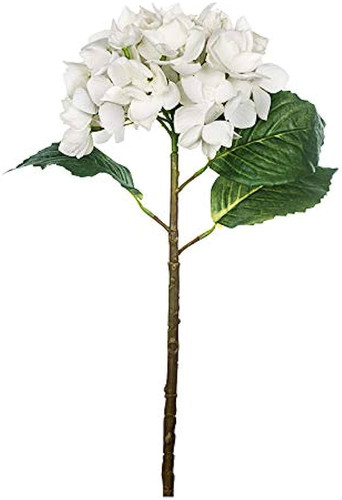 41ID0MaTgWL. AC UF1000,1000 QL80 .jpg