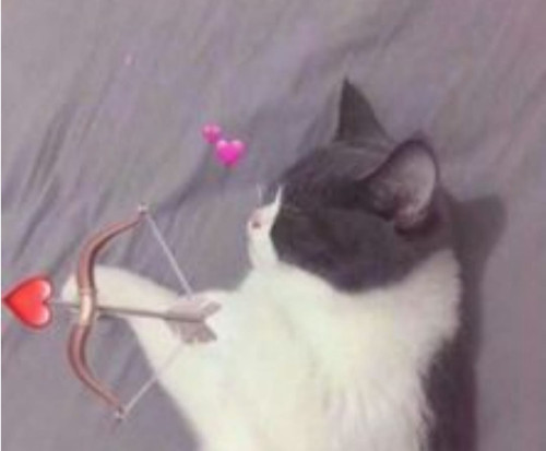 image.jpg
