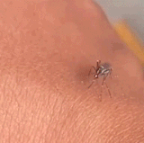 像极了中年男人的有心无力，搓搓也没用.gif