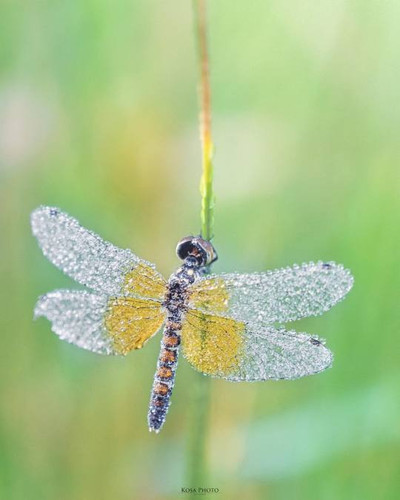 tumblr bac38b464c619ddf782e894fff3a68e2 9c4fe0b6 540.jpg