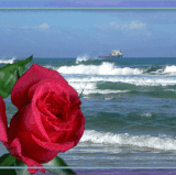 6235341BieEl90a.gif