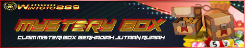 Mystery Box WINTOTO889.jpg