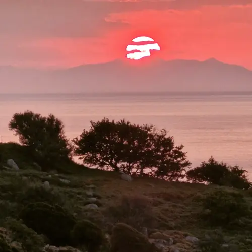 IMG 20230710 132419 530.webp