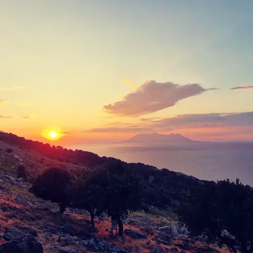 IMG 20230710 132419 242.webp