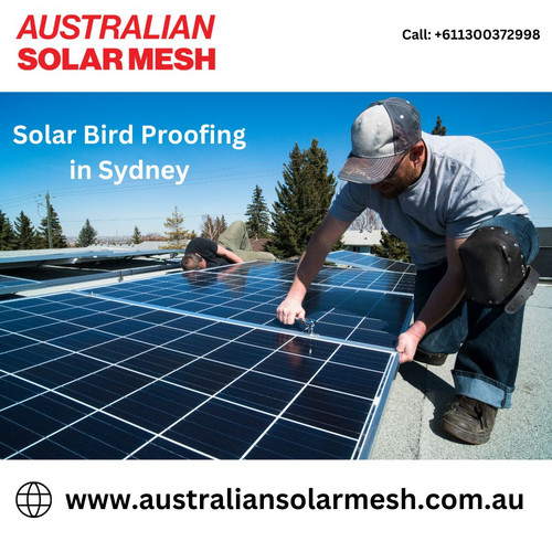 Solar Bird Proofing in Sydney Australian Solar Mesh.jpg