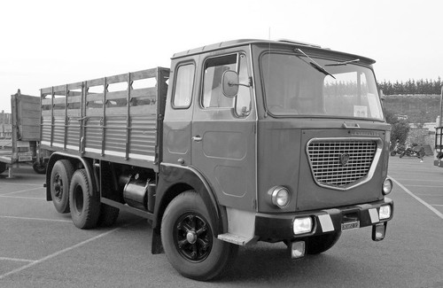 343929885 6411687882232343 4243633816344166155 n.jpg