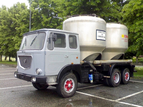 343490348 220248150644102 850969346305551612 n.jpg