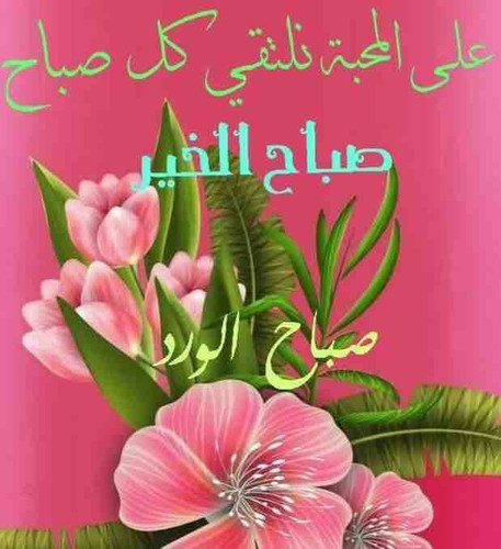 204B02C2 3FD2 4069 8201 5323B8AE167A.jpg