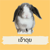 สำเนาของ LINE Rich Menu 2Row Free (6)