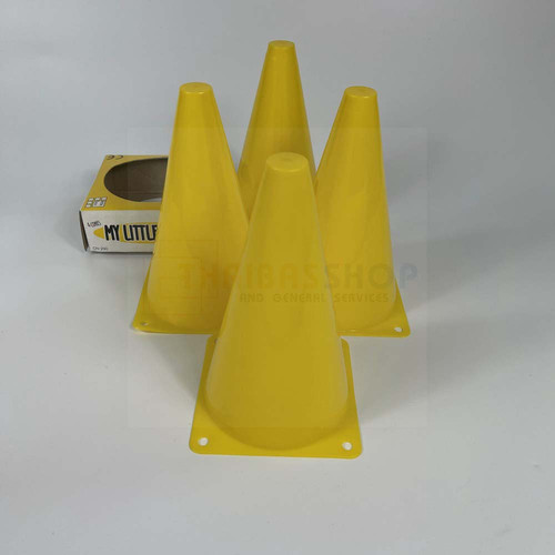 IMG 7249 1000x1000.jpg