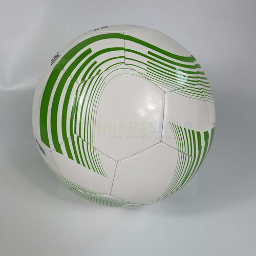 IMG 7395 1000x1000.jpg