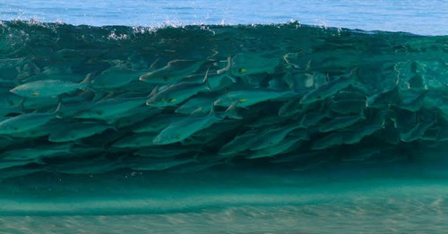 images 2023 07 10T143307.238.jpg