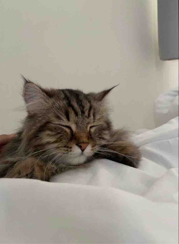 6534AFDD FD29 4E33 B369 89185BF7D7D1.jpg