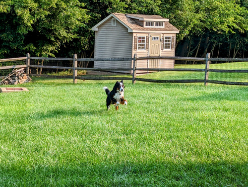 PXL 20230711 114225554~2.jpg