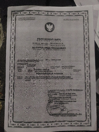 scaled c7325620 3a5b 45bd b139 0291381bb18e4946603323148913320.jpg